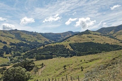 Romantic tour in Christchurch