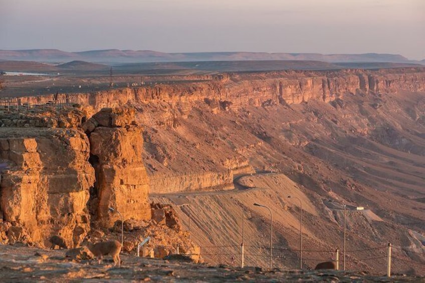 Show item 3 of 3. The best of Ramon Crater walking tour