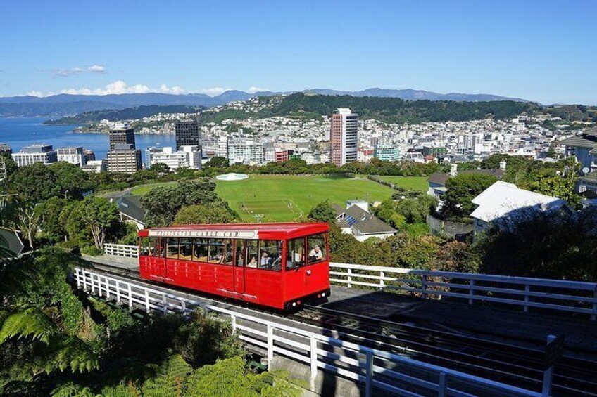 Romantic tour in Wellington