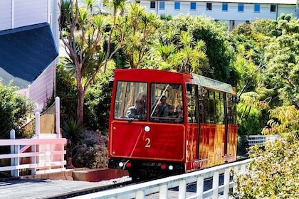 The Best of Wellington Walking Tour