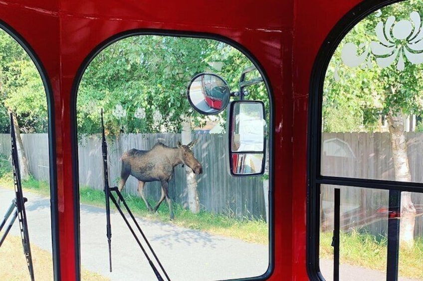 Anchorage Trolley's Deluxe City Tour