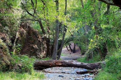 Beauty, Nature and Charm of Troodos Mountains from Paphos