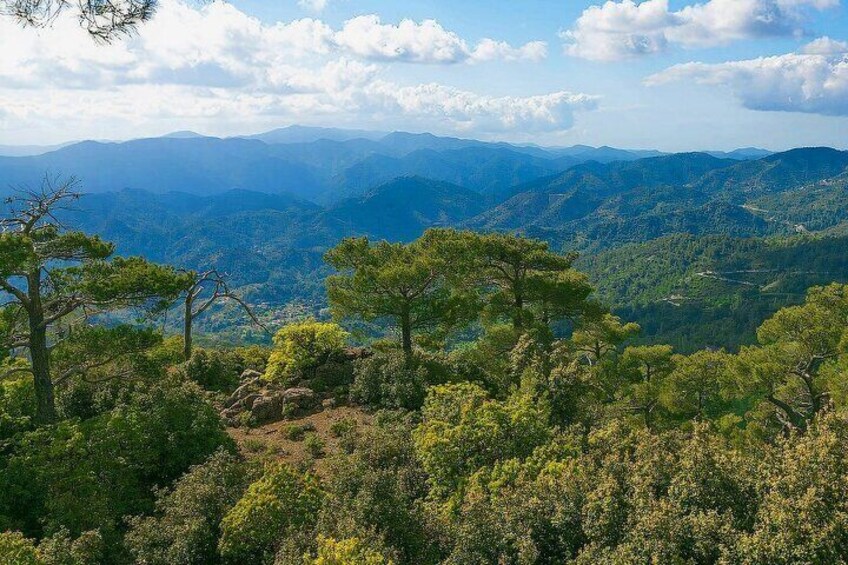 Troodos Mountains