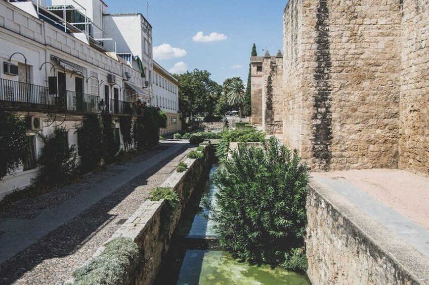 Cordoba from Sevilla