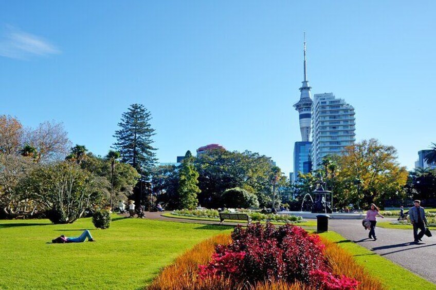 The best of Auckland walking tour