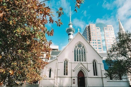 The best of Auckland walking tour