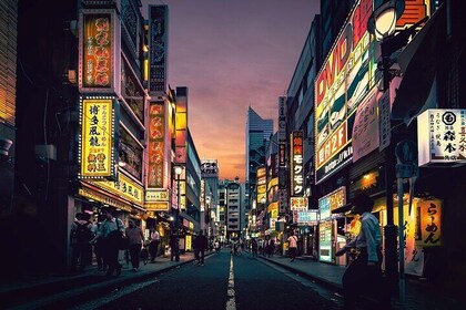 The best of Tokyo Walking tour