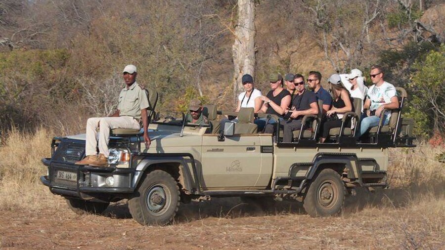Guest enjoying an open vehicle safari at Mohlabetsi Safari Lodge