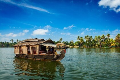 Kerala and Tamil Nadul Dreamscape Journey (South India)