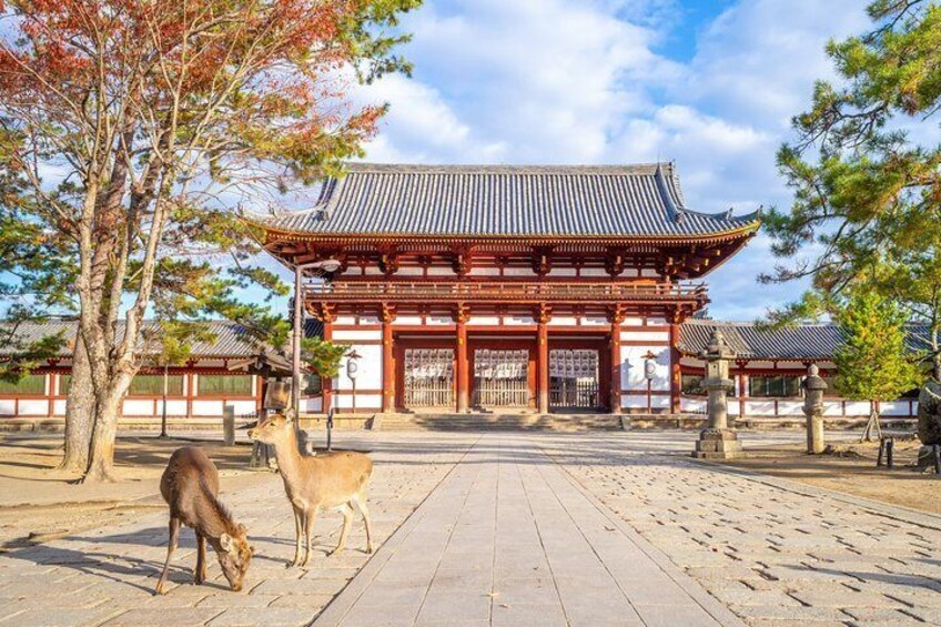 The best of Nara walking tour
