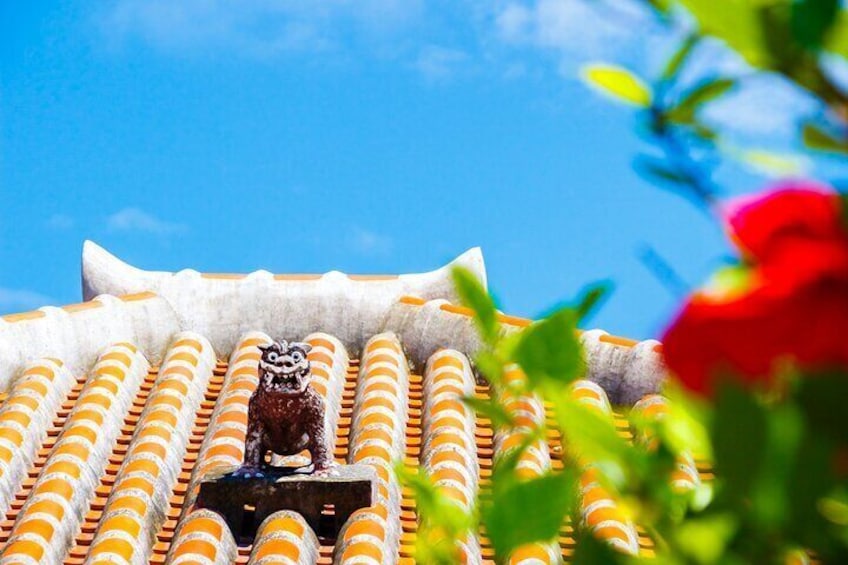 Okinawa Explorer: Shrines, Markets & Vibrant Streets