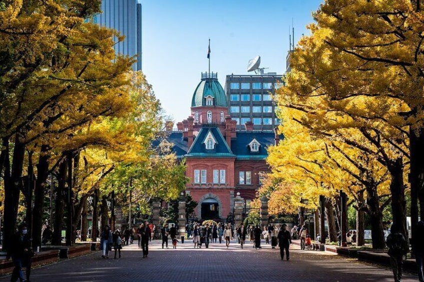 Sapporo Highlights: Art, Nature, and Architecture Tour