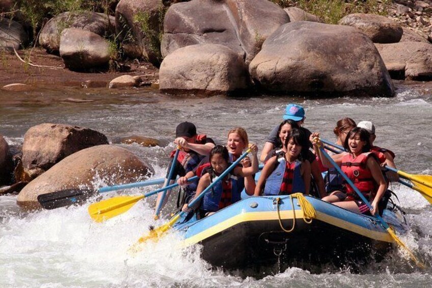 Durango Rafting - Animas River Adventure Day