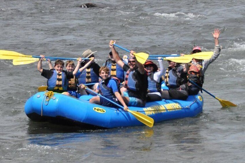 Durango Rafting - Animas River Adventure Day