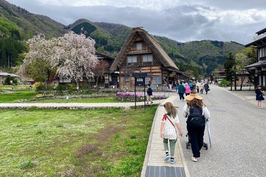 Private Guided Tour from Nagoya to Takayama and Shirakawa-go 