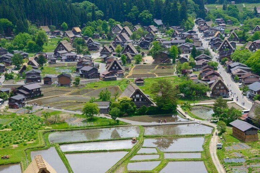 Private Guided Tour from Nagoya to Takayama and Shirakawa-go 