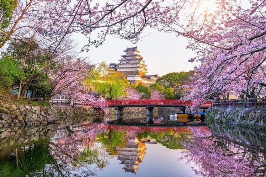 The Best of Himeji Walking Tour