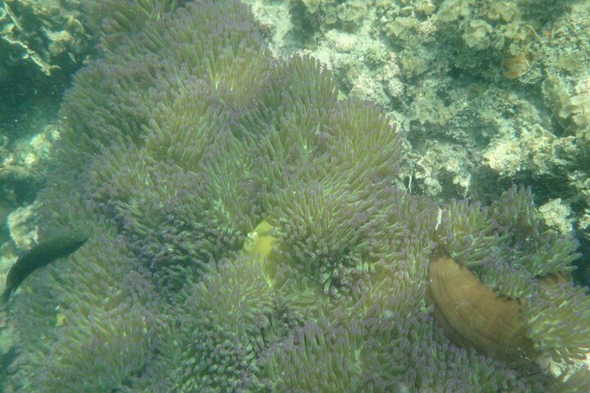 Angthong National Marine Park Tour By Big Boat From Koh Samui