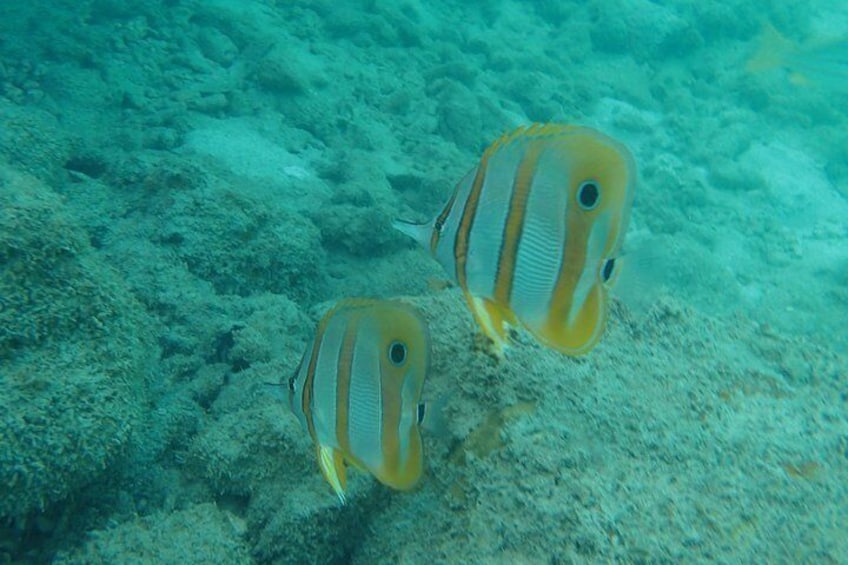 Angthong National Marine Park Tour By Big Boat From Koh Samui