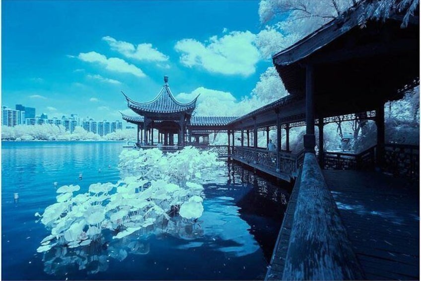All Inclusive Amazing Nanjing City Highlights Private Day Tour