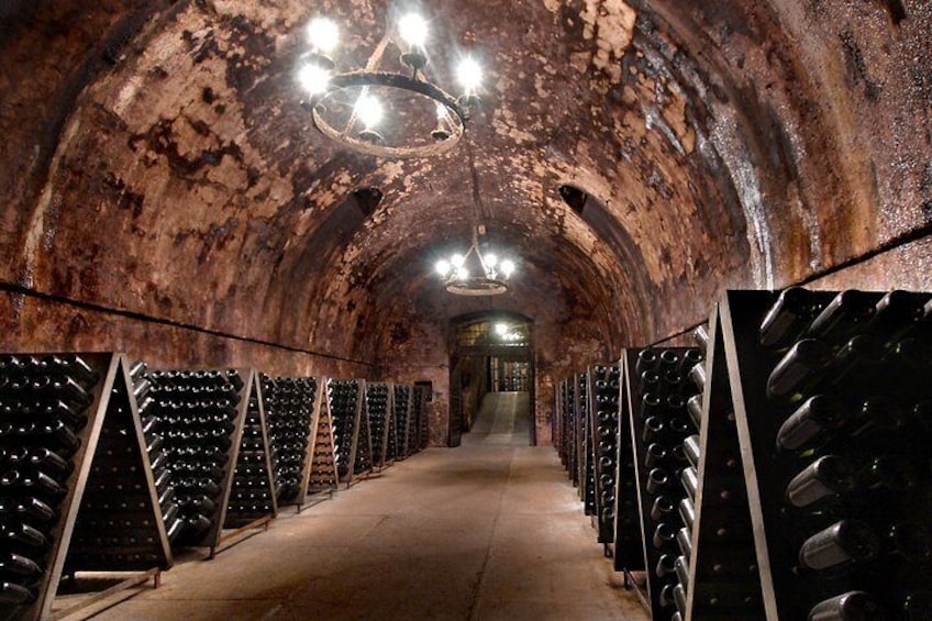 Cellar in Franciacorta