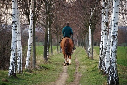 Private horse riding route in Doñana Natural Park