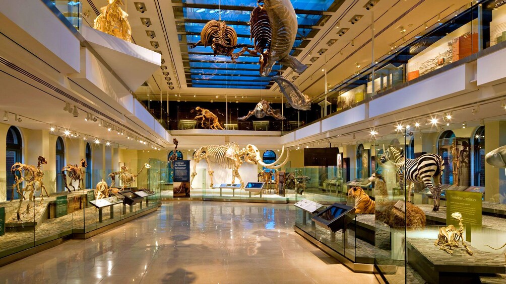 Los Angeles Natural History Museum Tickets
