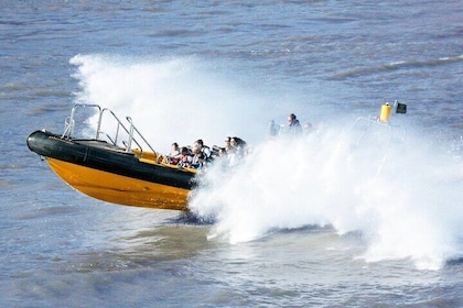 PRIVATE HIRE SPEEDBOAT 'ULTIMATE TOWER RIB BLAST' FROM TOWER PIER - 40 Minu...