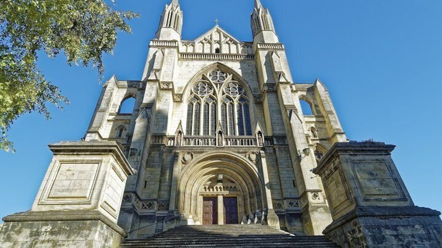 The best of Dunedin walking tour