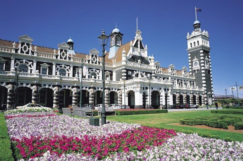 Fascinating Heritage of Dunedin Walking Tour