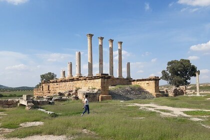 Thuburbo Majus Uthina and Zaghouan Roman sites Tour From Tunis or Hammamet