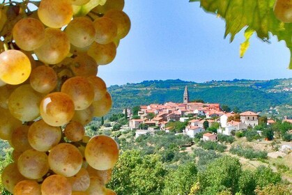 Slovenian Istria | Private off cruise excursion from Koper