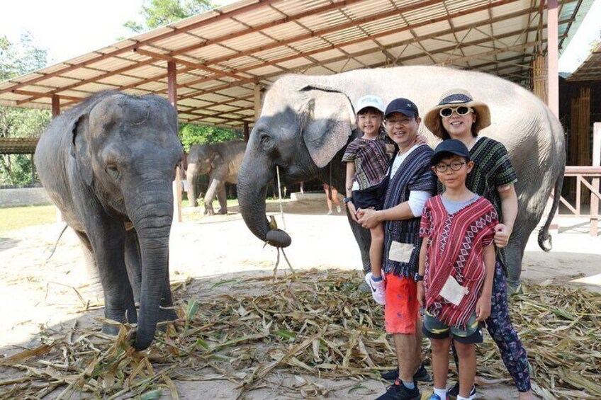 Chiang Mai Ethical Watching Elephant Sanctuary tour 