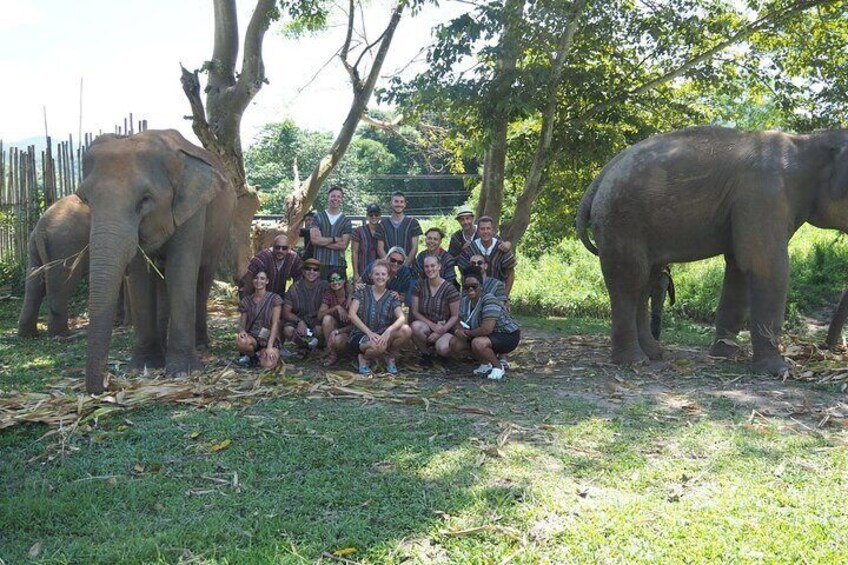 Chiang Mai Ethical Watching Elephant Sanctuary tour 