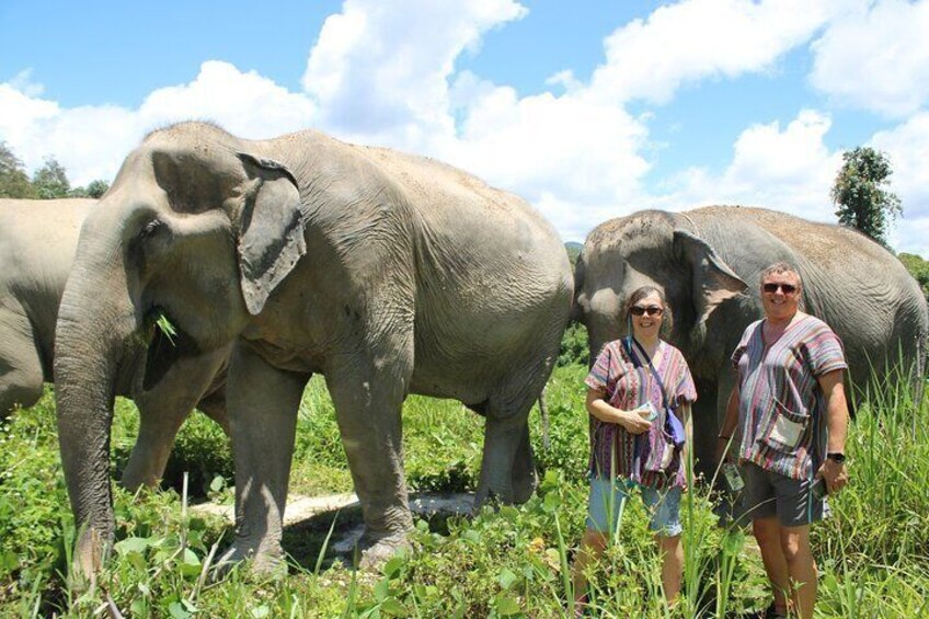 Chiang Mai Ethical Watching Elephant Sanctuary tour 