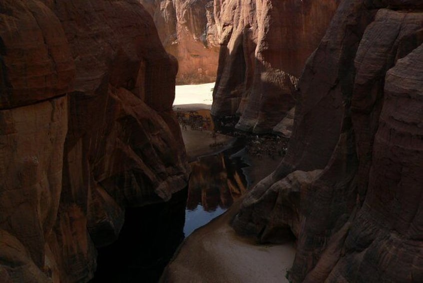 Visit of the Ennedi Nature Reserve 10 days