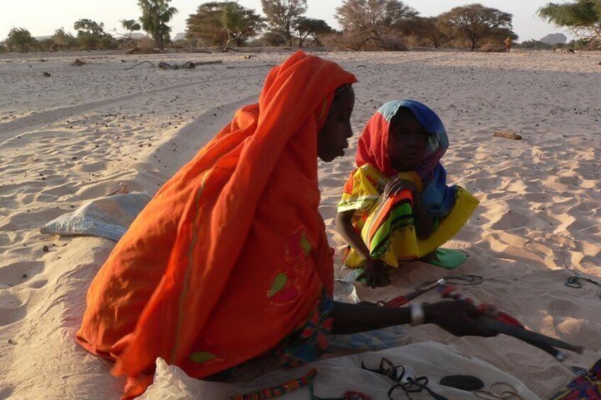 Visit of the Ennedi Nature Reserve 10 days