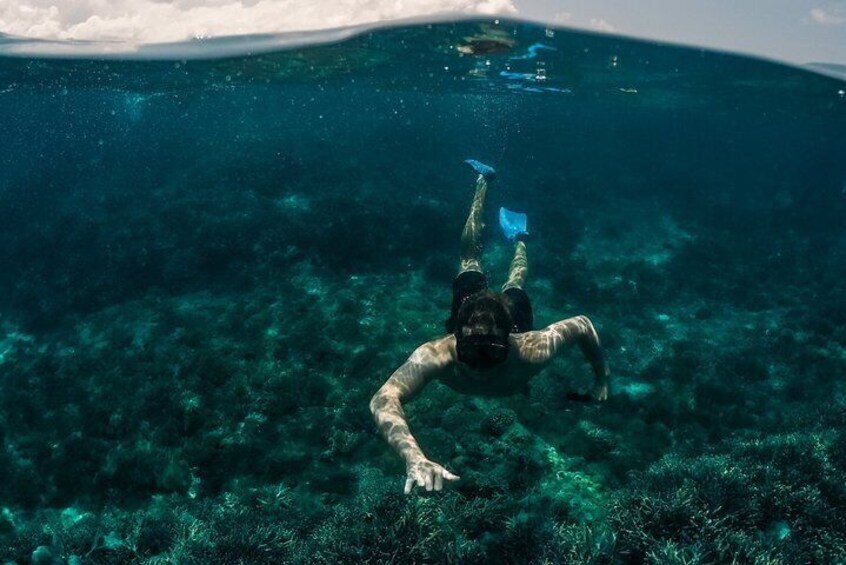 Snorkeling in Dhiffushi