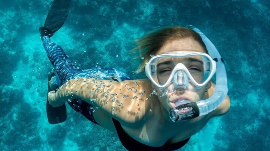 Snorkeling in Dhiffushi