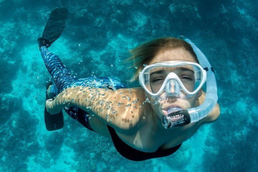 Snorkeling in Dhiffushi