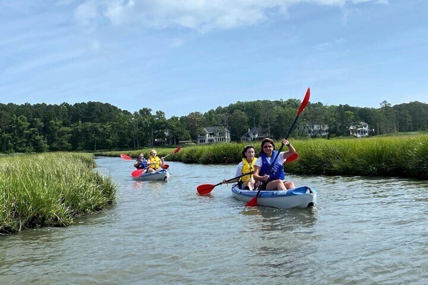 Cruisin' along the salt marsh