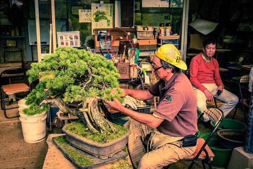 The Best Of Saitama Walking Tour