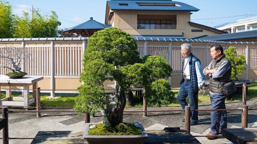 The Best Of Saitama Walking Tour