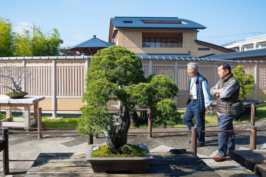 The Best Of Saitama Walking Tour
