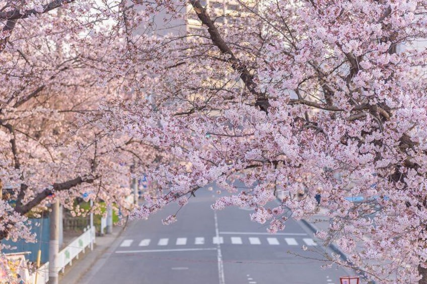  Romantic Tour In Saitama