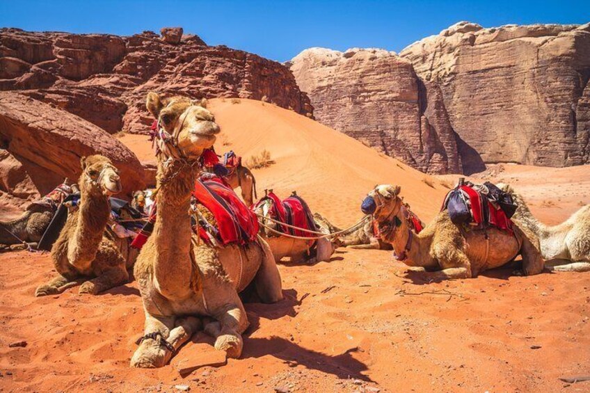  Romantic Tour In Wadi Rum