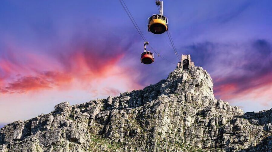 Table Mountain, Boulders Penguins & Cape point Private Day Tour