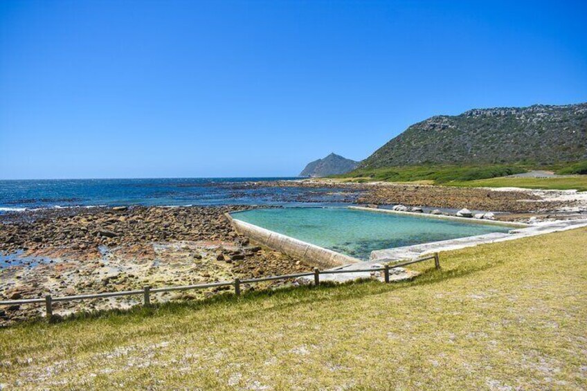Cape of Good Hope and Boulders Beach full Day Private Tour