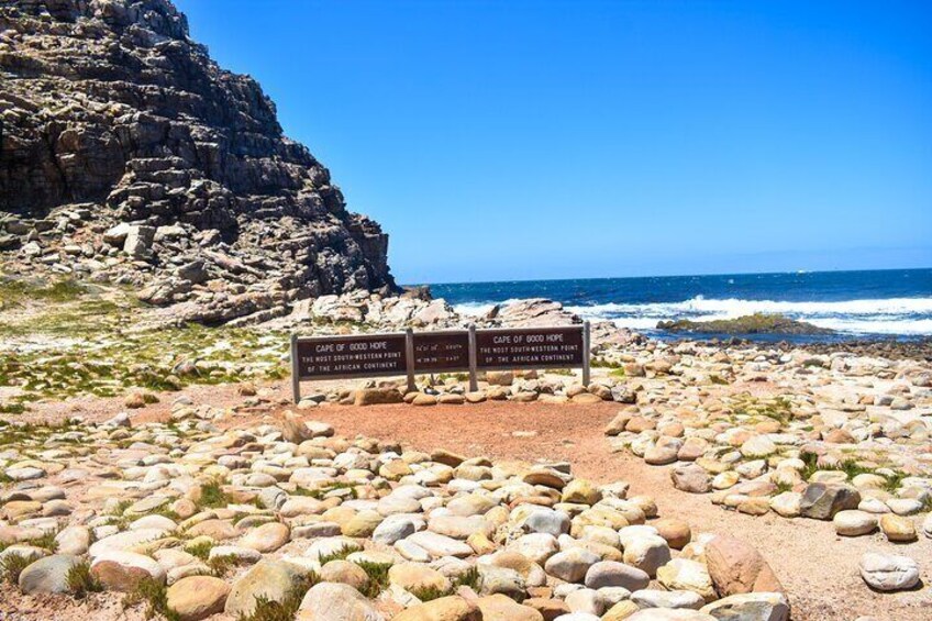 Cape of Good Hope and Boulders Beach full Day Private Tour