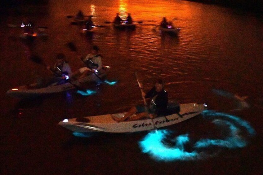 You and your friends will light up the night on your bioluminescent kayak tour with Fin Expeditions
